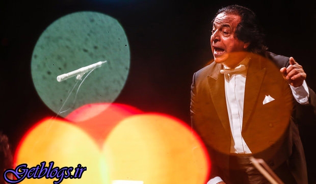 اعلام برنامه‌ کنسرت‌های رهبر سابق ارکستر سمفونیک پایتخت کشور عزیزمان ایران