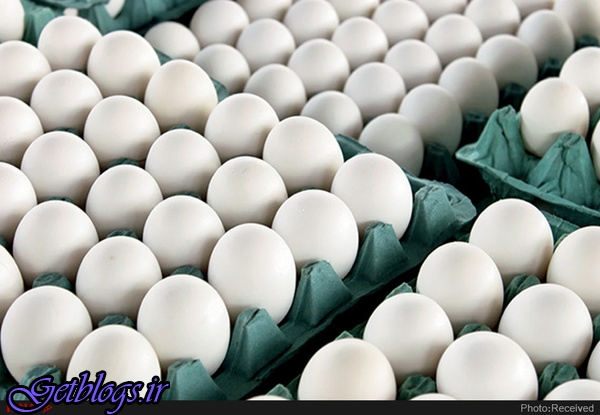 مرغداری‌های اصفهان با آنفولانزا درگیر هستند ، کاهش 5 هزار تومانی قیمت تخم مرغ در بازار